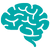 Brain icon representing capability development